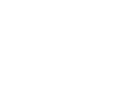 Palace Inn